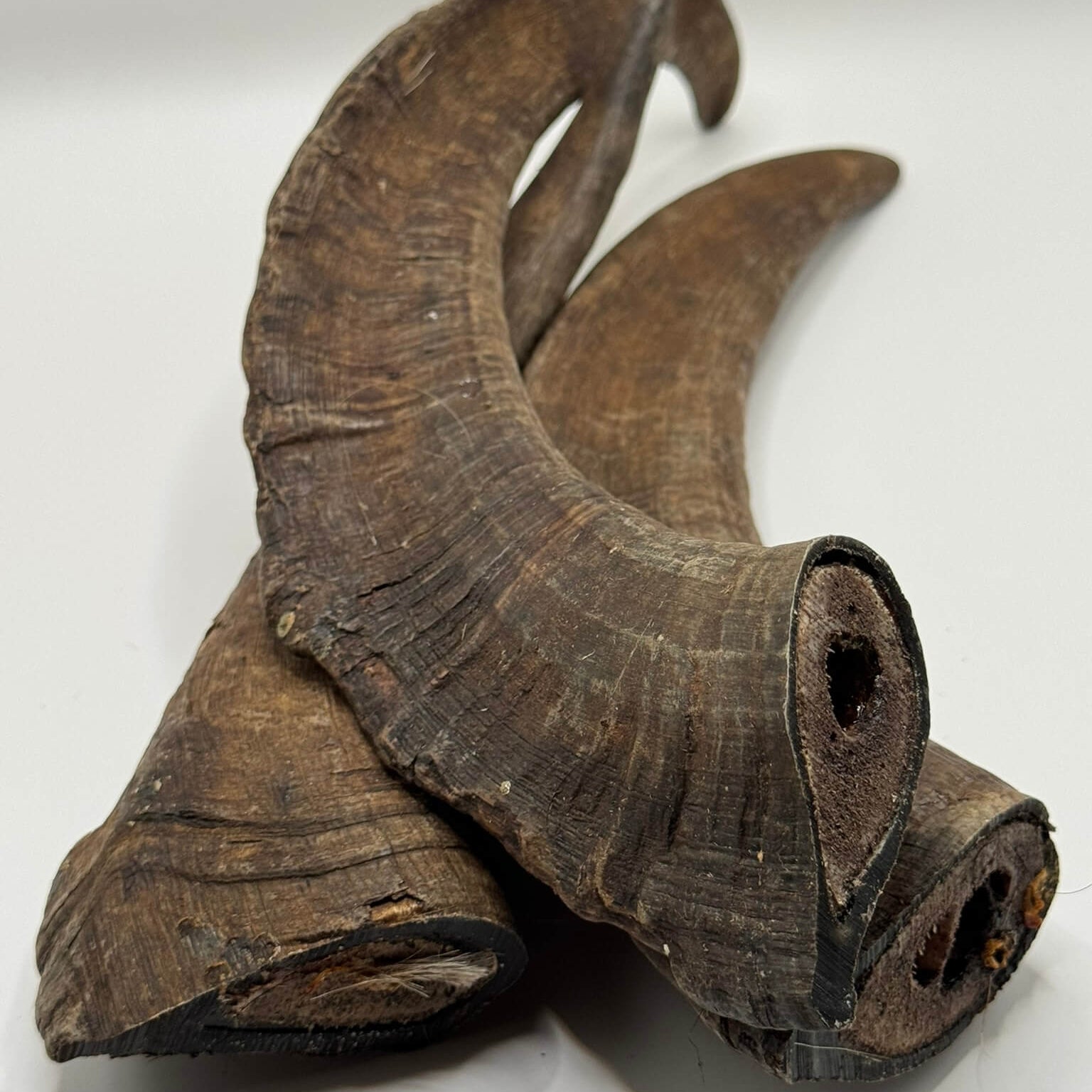 Natural long-lasting goat horn dog treat, perfect for powerful chewers and heavy-duty teeth cleaning