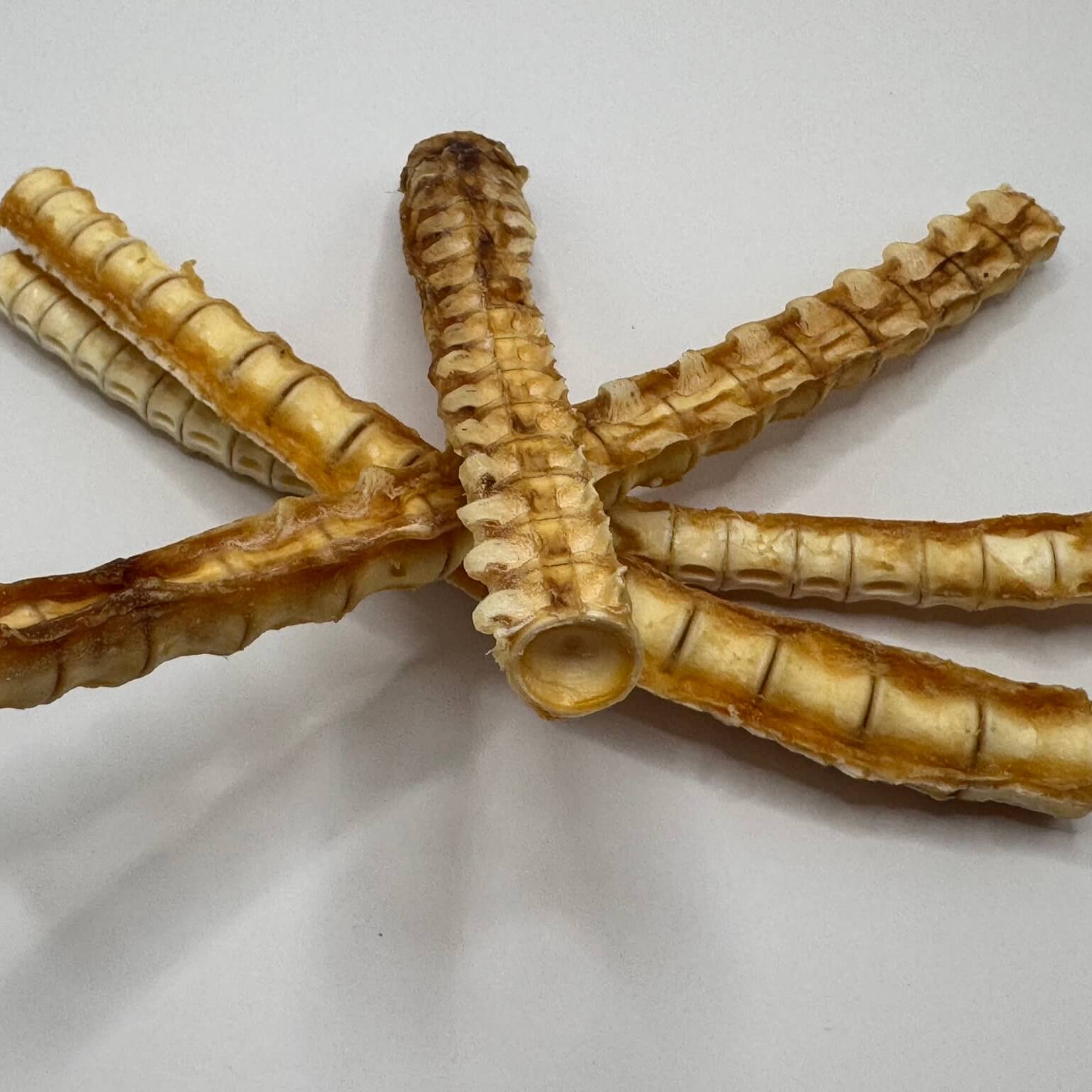 Natural shark cartilage dog treat, rich in glucosamine and chondroitin for healthy joints in large breeds