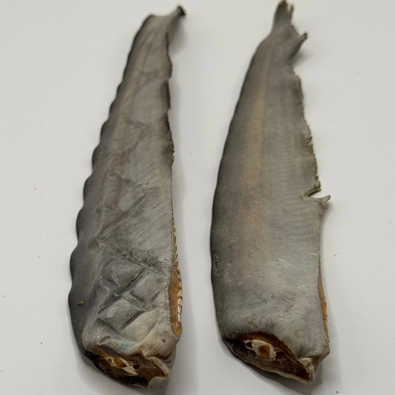Premium Australian shark tail dog treat, a durable, natural chew for large, active dogs