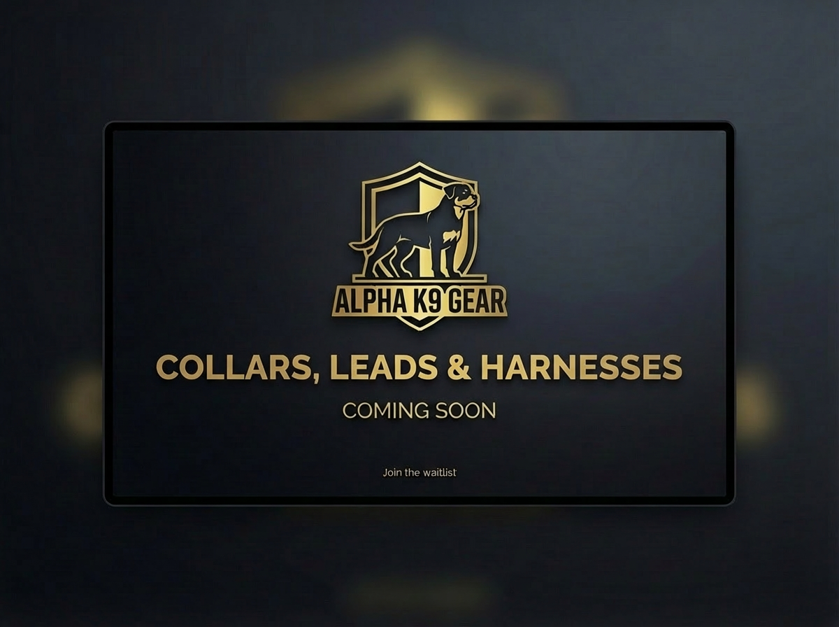 Explore Dog Lead Coming Soon
