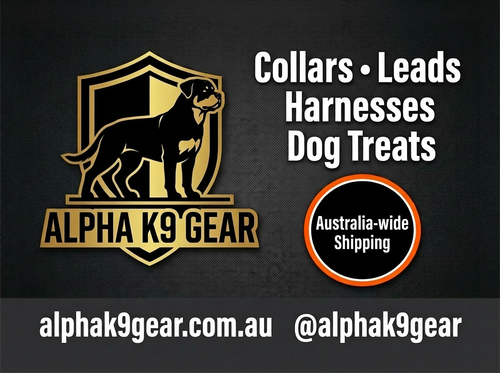 Explore Dog Lead Coming Soon