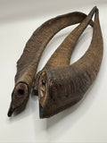 Large Goat Horn With Marrow