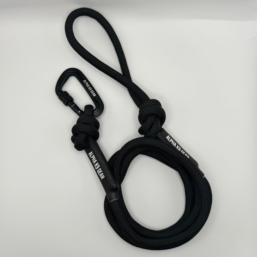 Explore Dog Lead