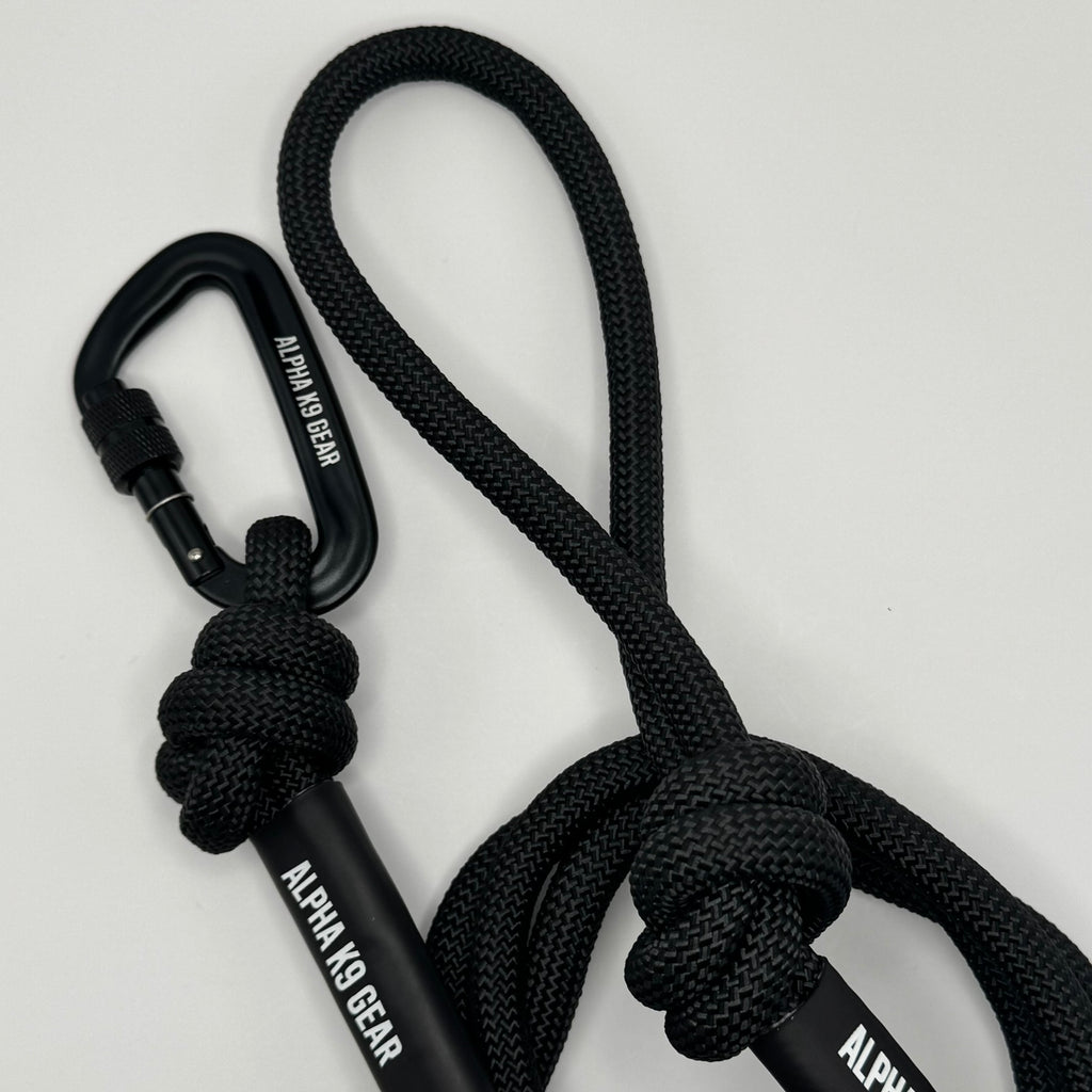 Explore Dog Lead