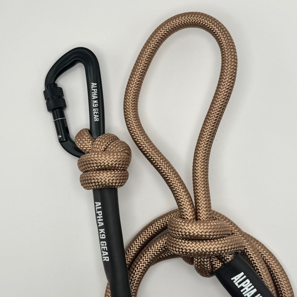 Explore Dog Lead