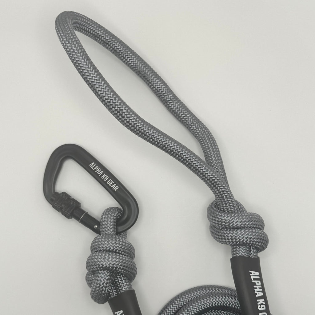 Explore Dog Lead