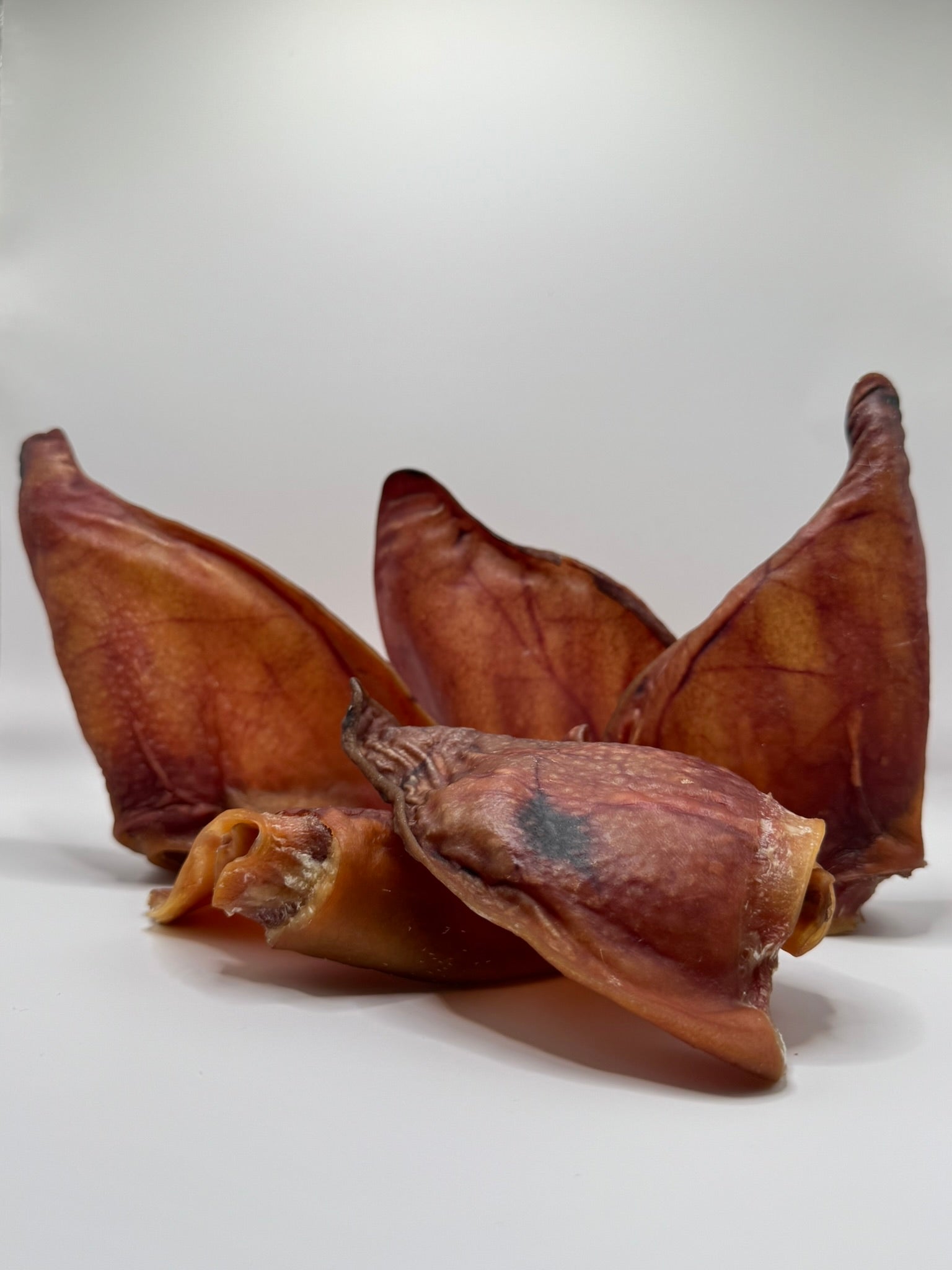 Pig Ears
