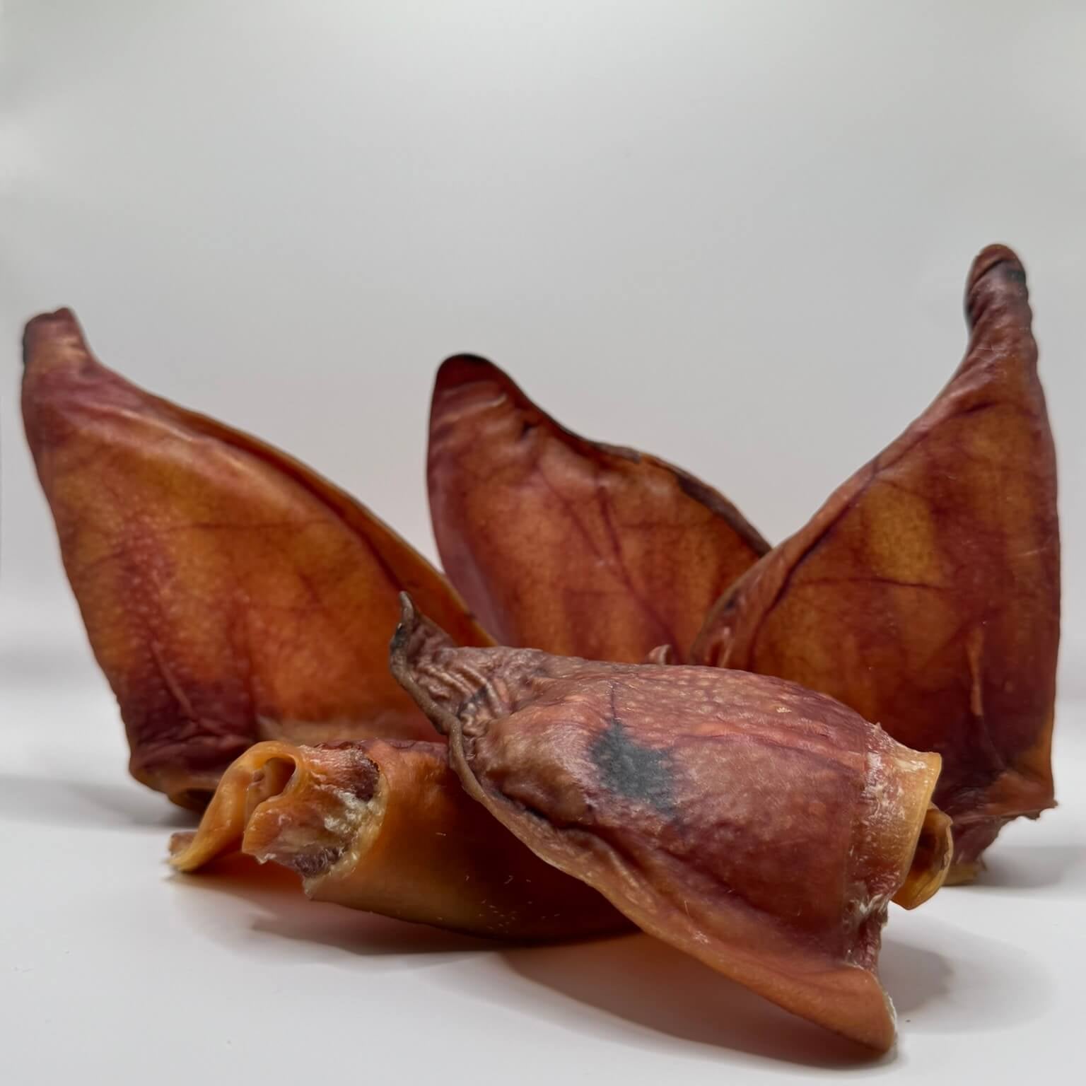 Natural air-dried pig ear dog treat, a healthy single-ingredient snack for large, active dogs