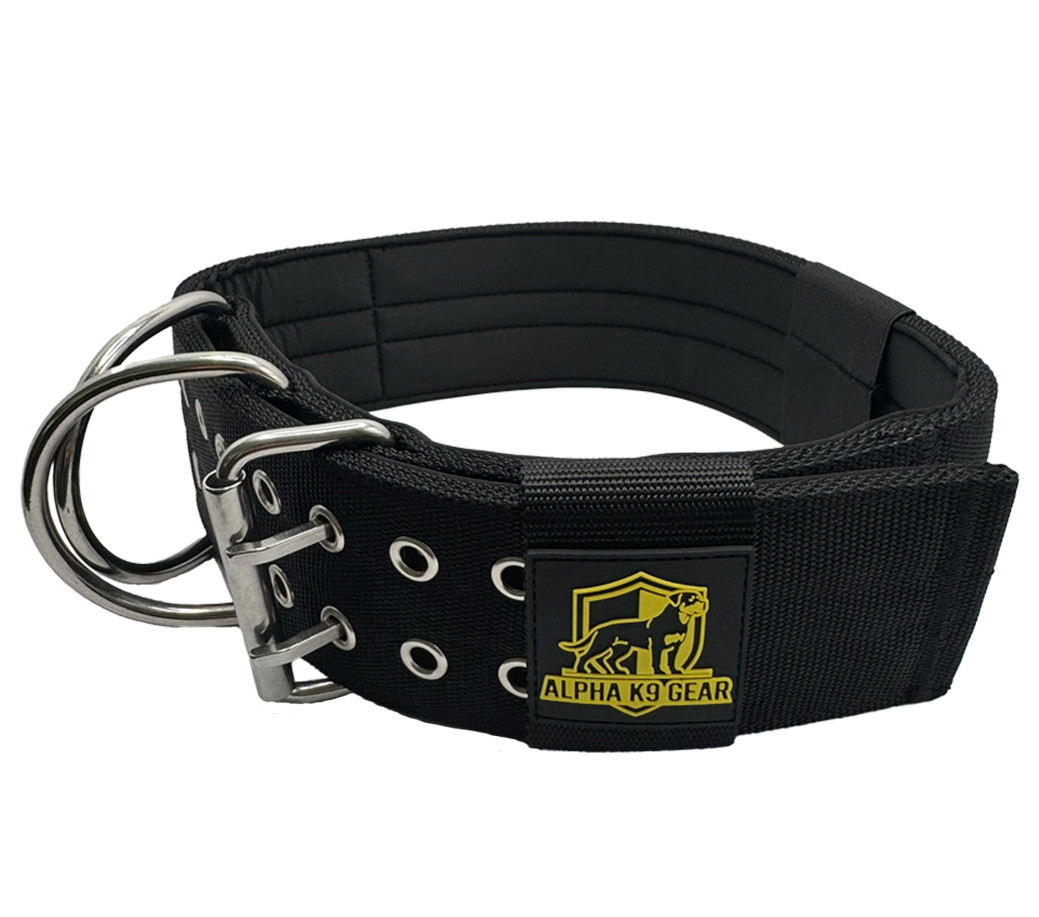Extreme Dog Collar