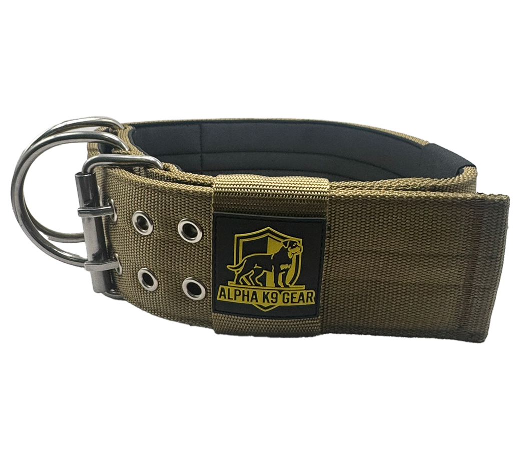 Extreme Dog Collar