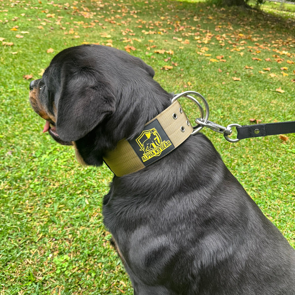Extreme Dog Collar