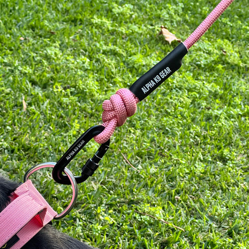 Durable rope dog lead with heavy-duty carabiner for large breeds