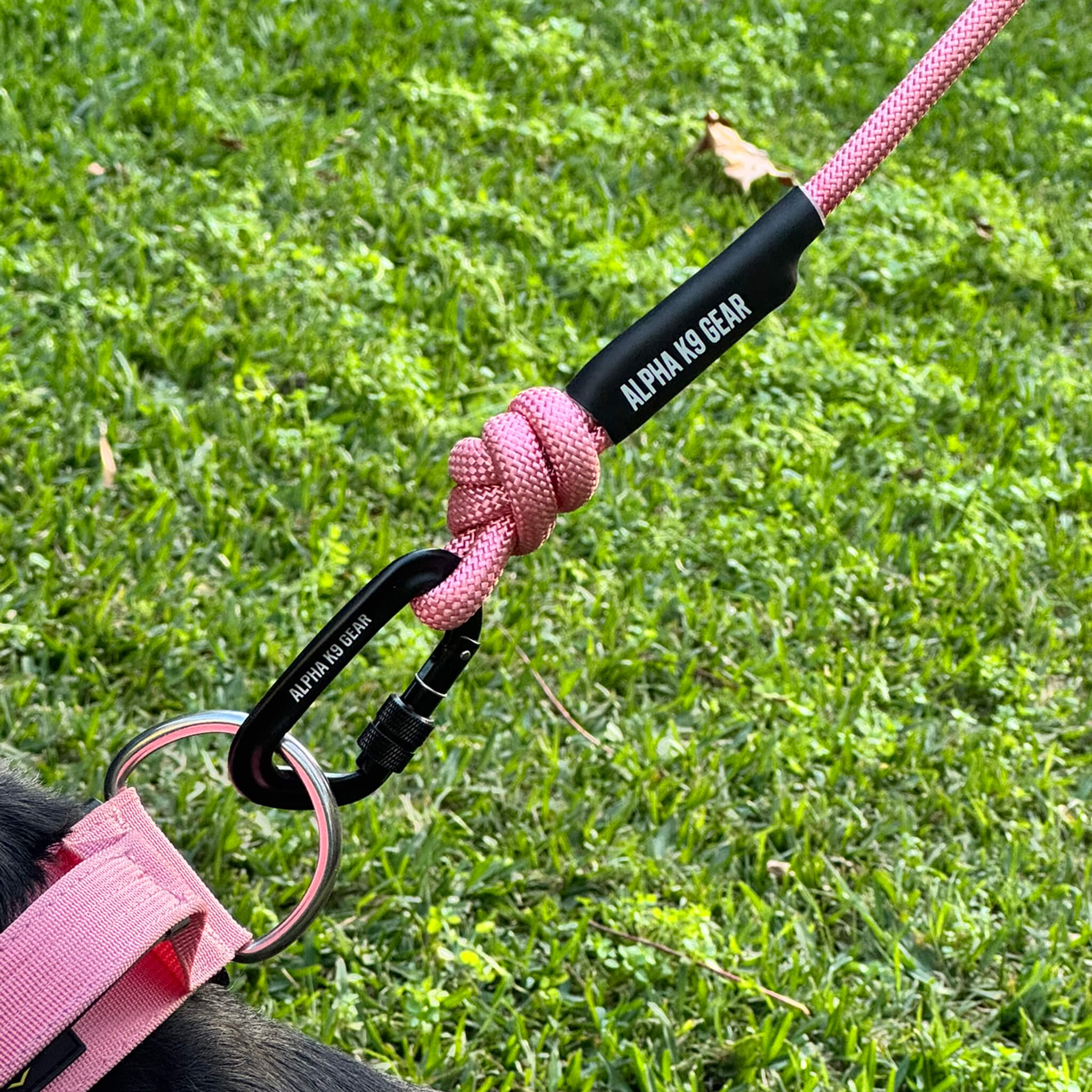 Pink heavy-duty rope dog lead with secure black screw-gate carabiner for large, powerful dogs.